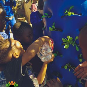 DreamGrower - Sponsor a Family