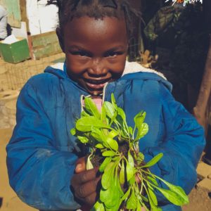 DreamGrower - Donation (Any amount will be appreciated)
