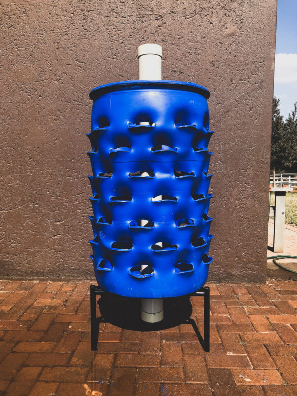 DreamGrower Starter (Without Stand)